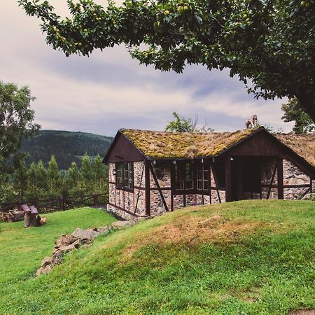 Willa Z Gwarantowanym Widokiem Na Gory Aleksander Panorama Swieradow-Zdroj Exterior photo
