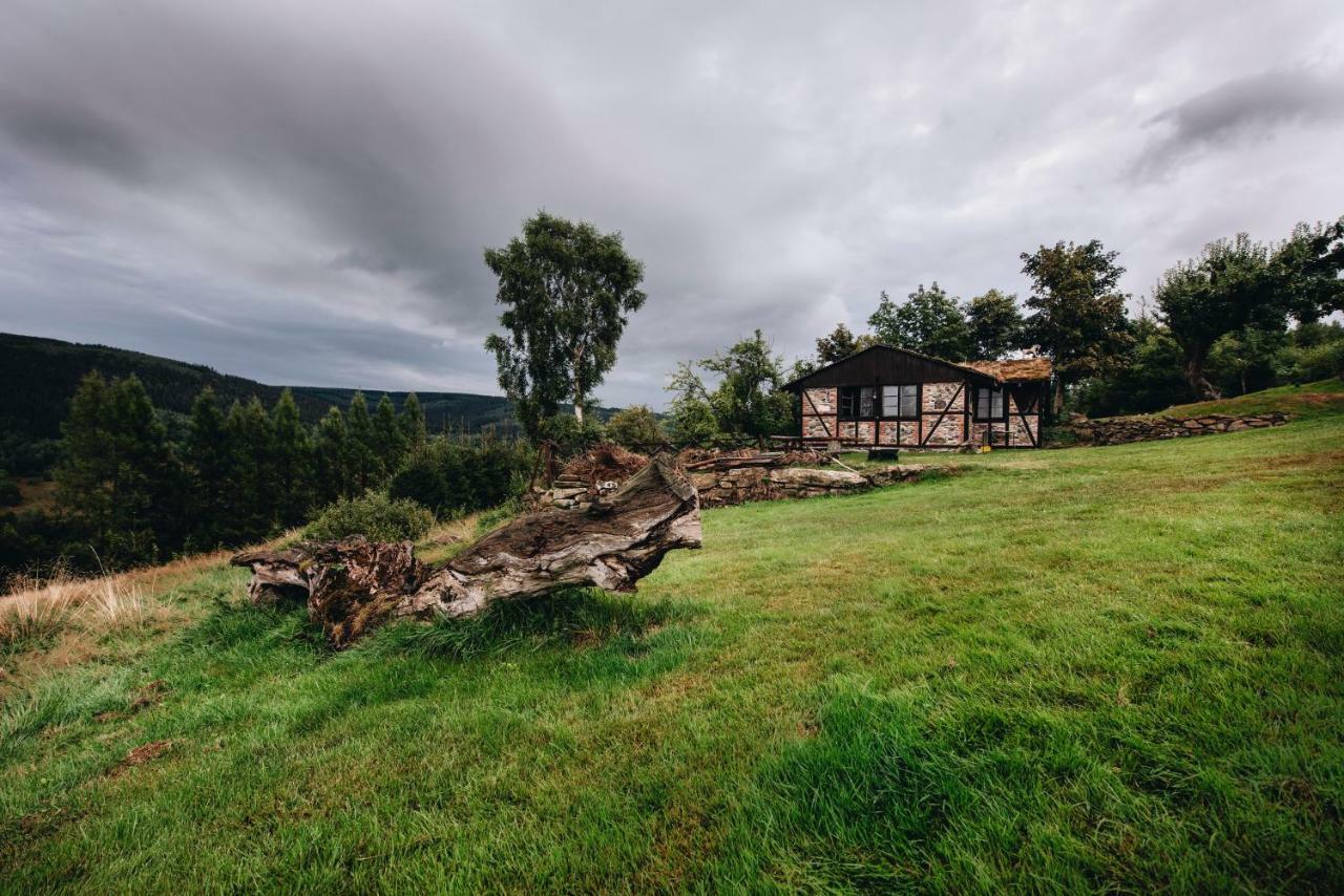 Willa Z Gwarantowanym Widokiem Na Gory Aleksander Panorama Swieradow-Zdroj Exterior photo